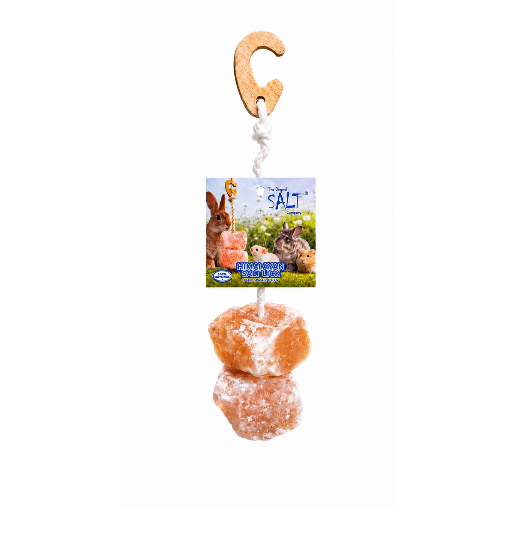 Small Pet Mineral Salt Licks